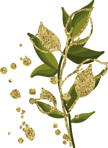 praktijk cyn bloemen